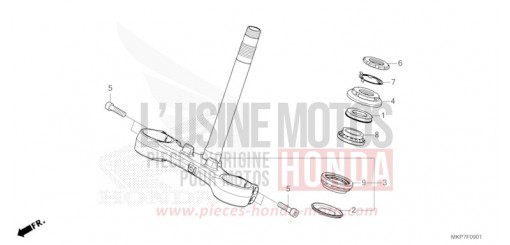 STEERING STEM (CB400XAN,CB500XAN/P) CB500XAN de 2022